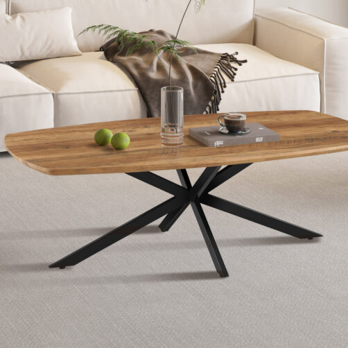 Table basse 'Aziz' décor mango